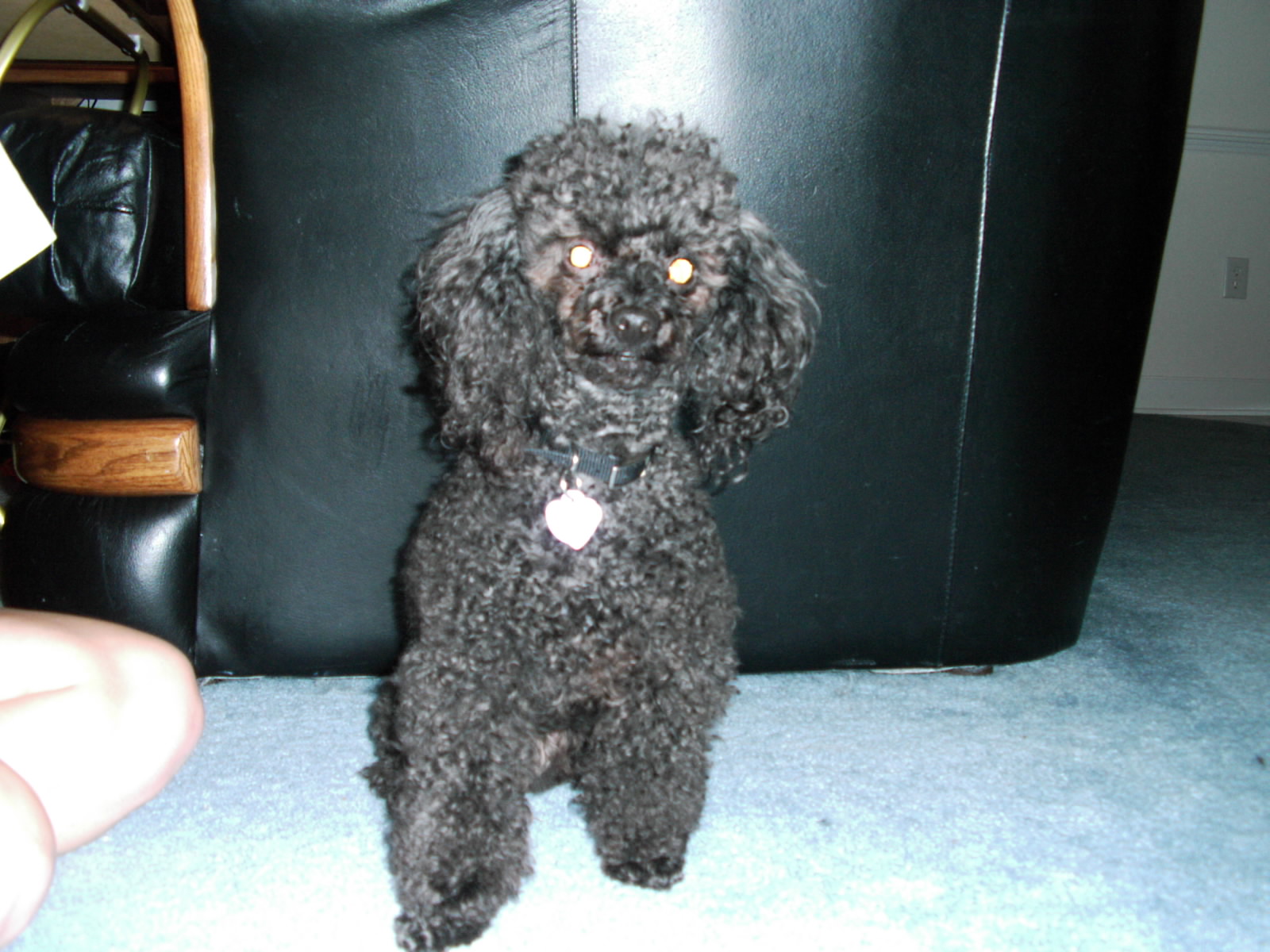 ./2005/Monica Texas/Monica Texas Summer0004.JPG